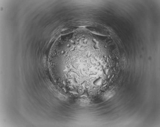 X0000057090765200509120919