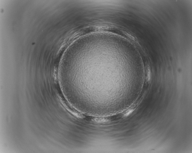 X0000057090766200509120919