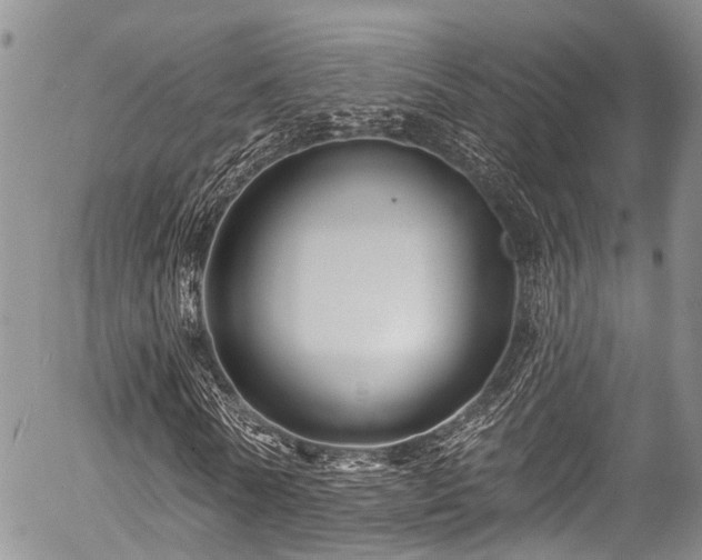 X0000057090770200509120918