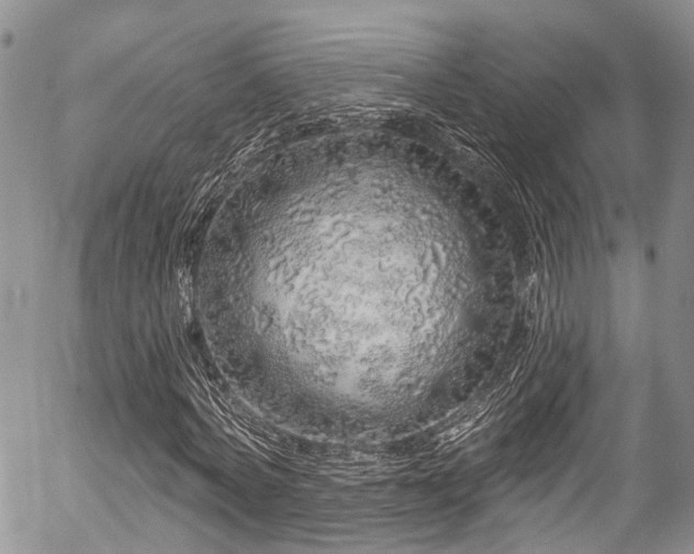 X0000057090772200509120918