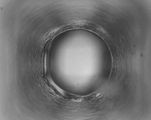 X0000057090773200509120918