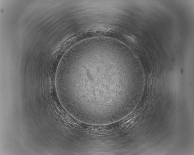 X0000057090774200509120918