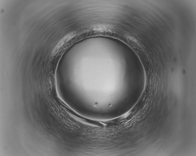 X0000057090776200509120918