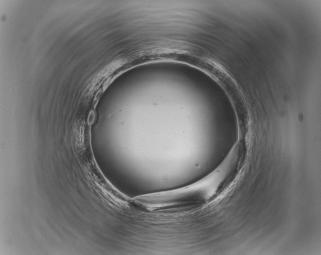 X0000057090777200509120918