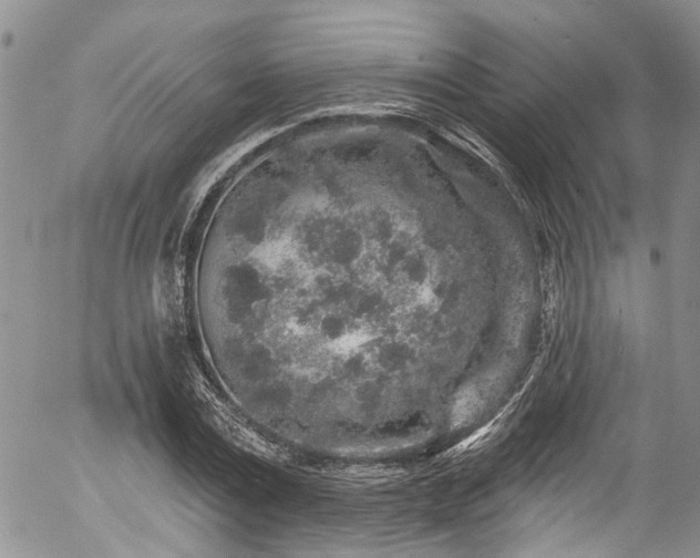 X0000057090779200509120918