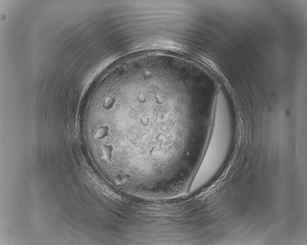 X0000057090780200509120918