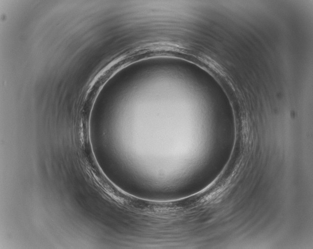 X0000057090782200509120918