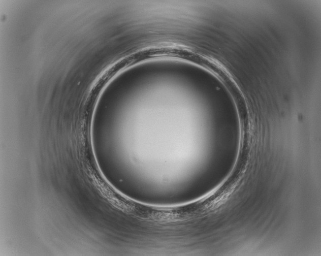 X0000057090783200509120918