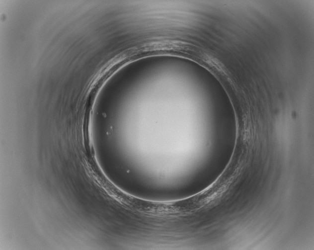 X0000057090786200509120918