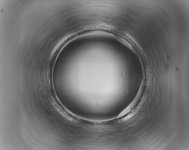 X0000057090788200509120918