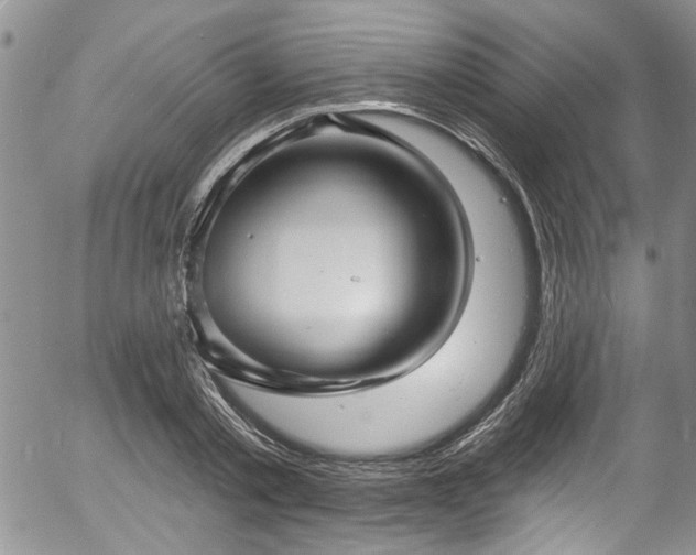 X0000057090789200509120918