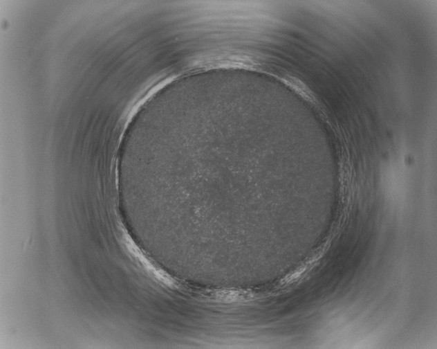 X0000057090790200509120918