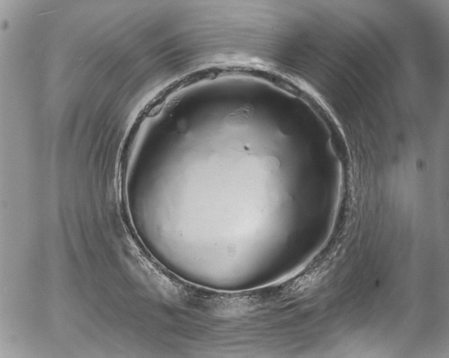 X0000057090791200509120918