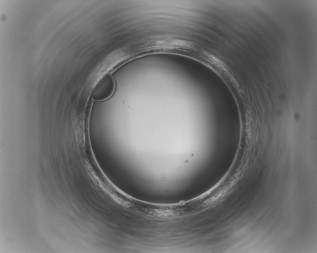 X0000057090794200509120918