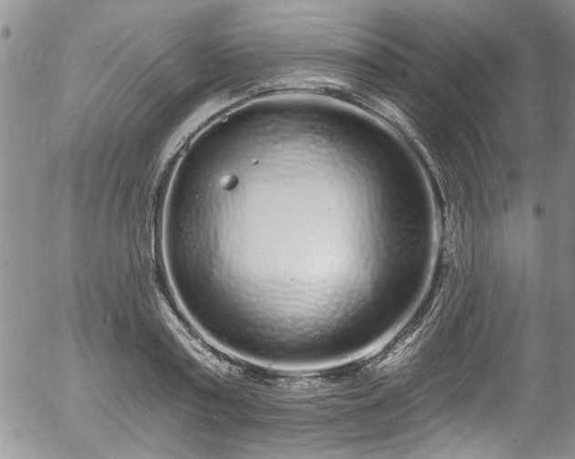 X0000057090795200509120918