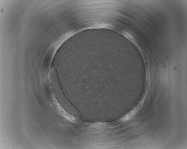 X0000057090797200509120918