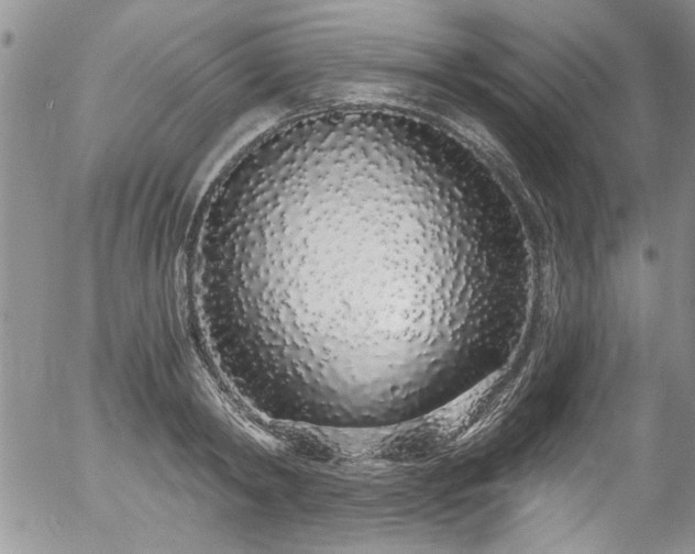 X0000057090798200509120918