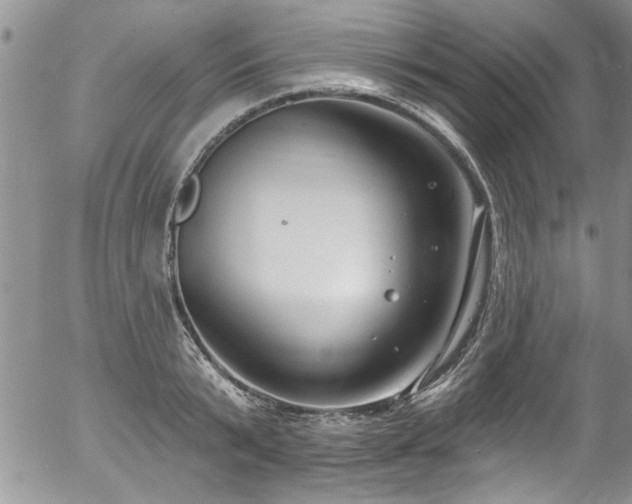 X0000057090799200509120918