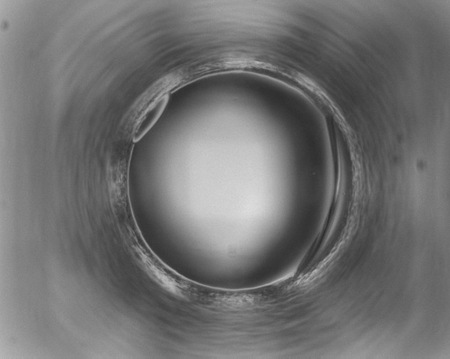 X0000057090801200509120918