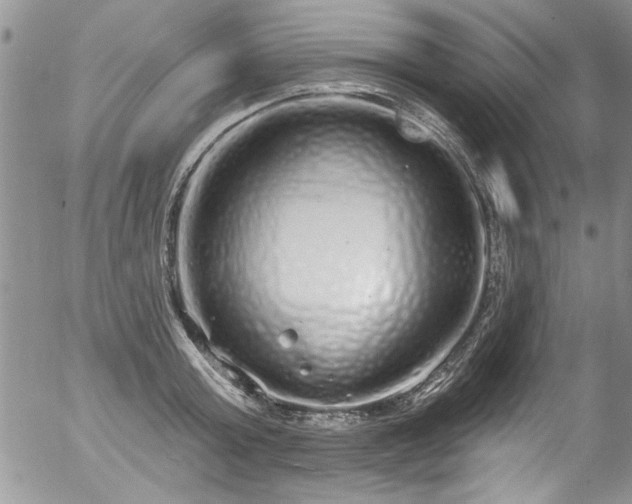 X0000057090803200509120918