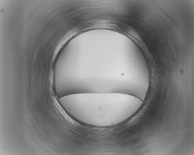 X0000057090804200509120918