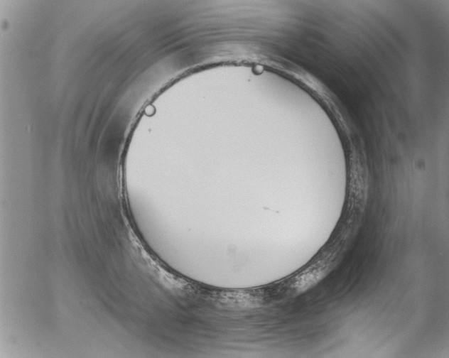 X0000057090807200509120917