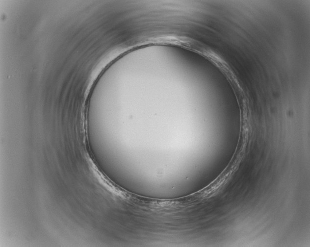 X0000057090808200509120917