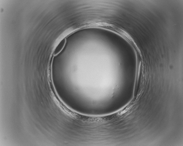 X0000057090811200509120917