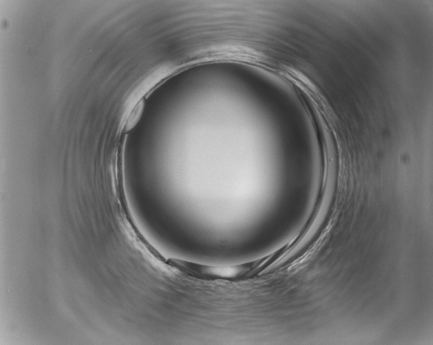 X0000057090812200509120917