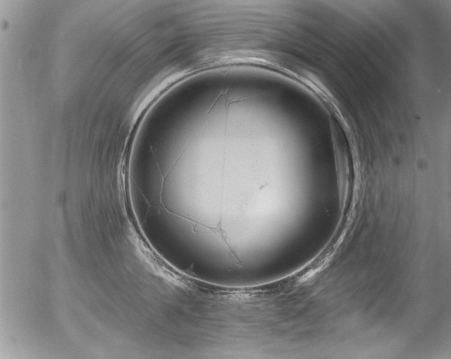 X0000057090814200509120917