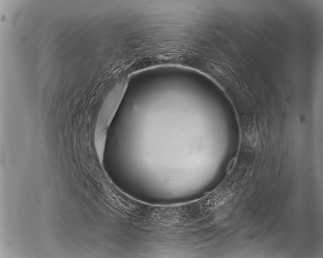 X0000057090817200509120917