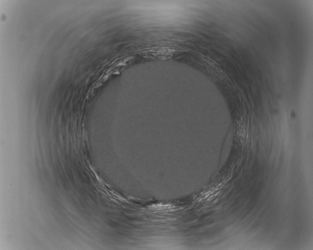 X0000057090818200509120917