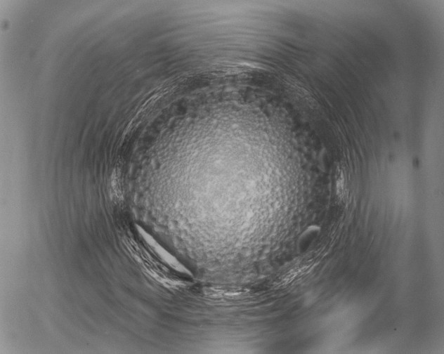 X0000057090819200509120917