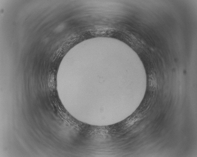 X0000057090820200509120917