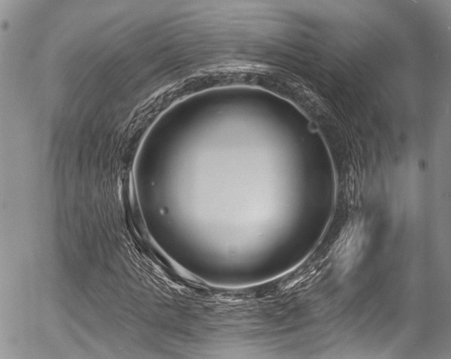 X0000057090821200509120917