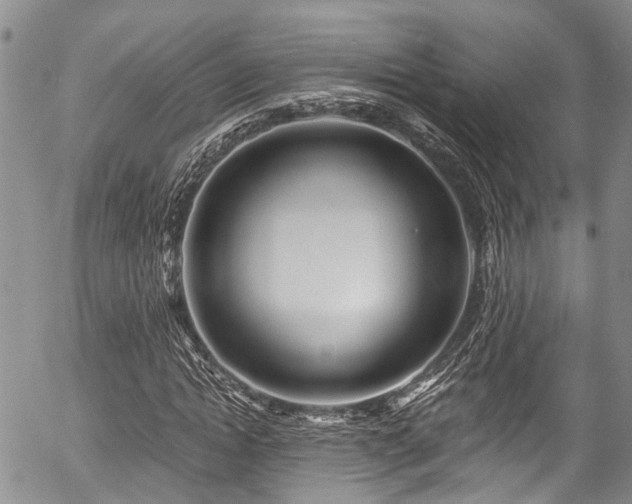 X0000057090822200509120917