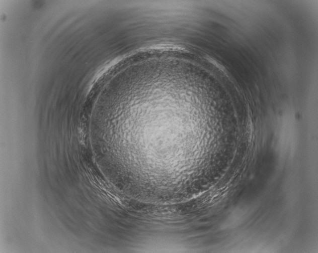 X0000057090823200509120917