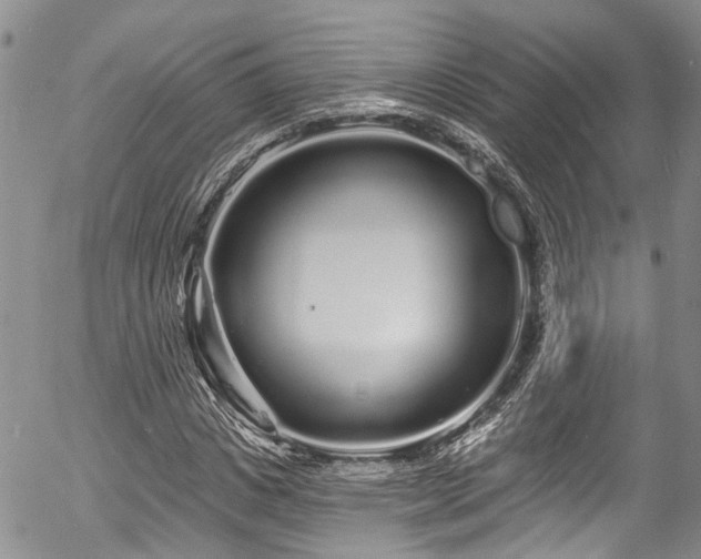 X0000057090825200509120917