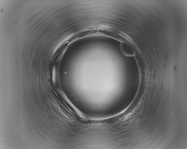 X0000057090826200509120917