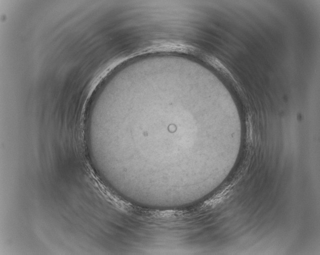 X0000057090828200509120917