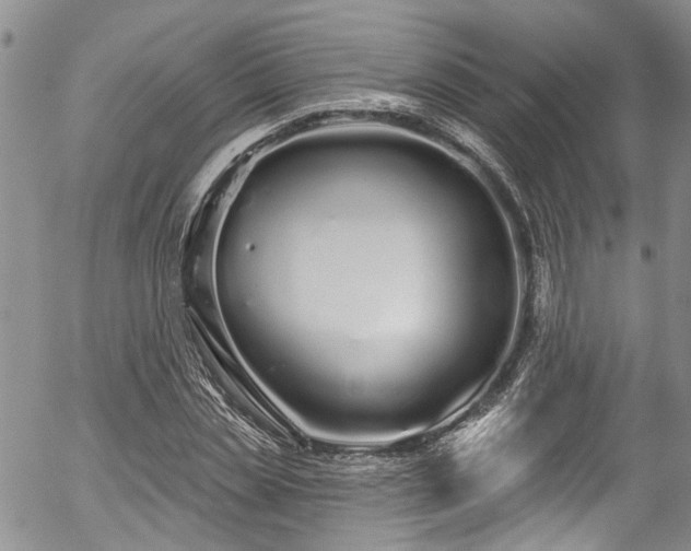 X0000057090829200509120917