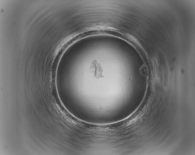 X0000057090831200509120917