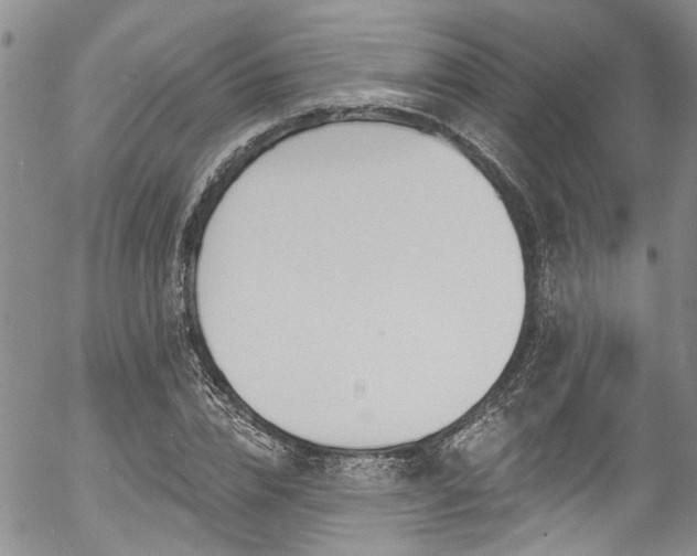 X0000057090832200509120917