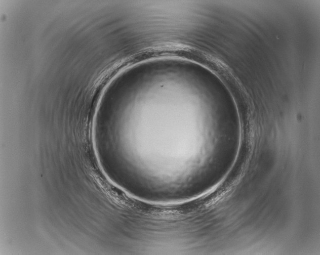 X0000057090833200509120917