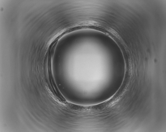 X0000057090834200509120917