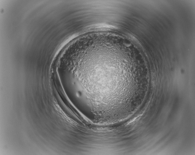 X0000057090835200509120917