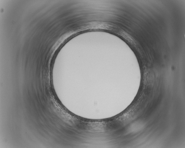 X0000057090836200509120917