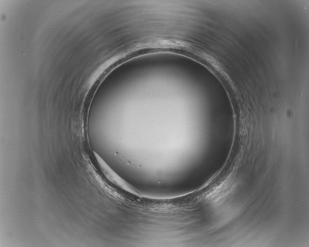 X0000057090837200509120917