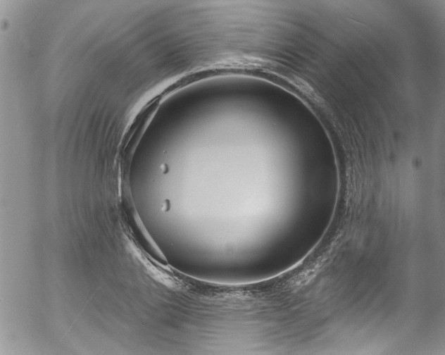 X0000057090838200509120917