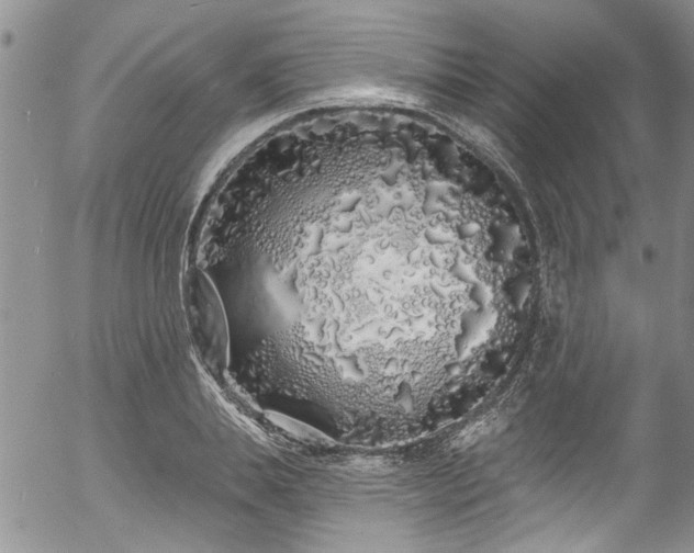 X0000057090839200509120917